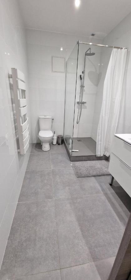 Beau T2 Appartement Saint-Georges-d'Esperanche